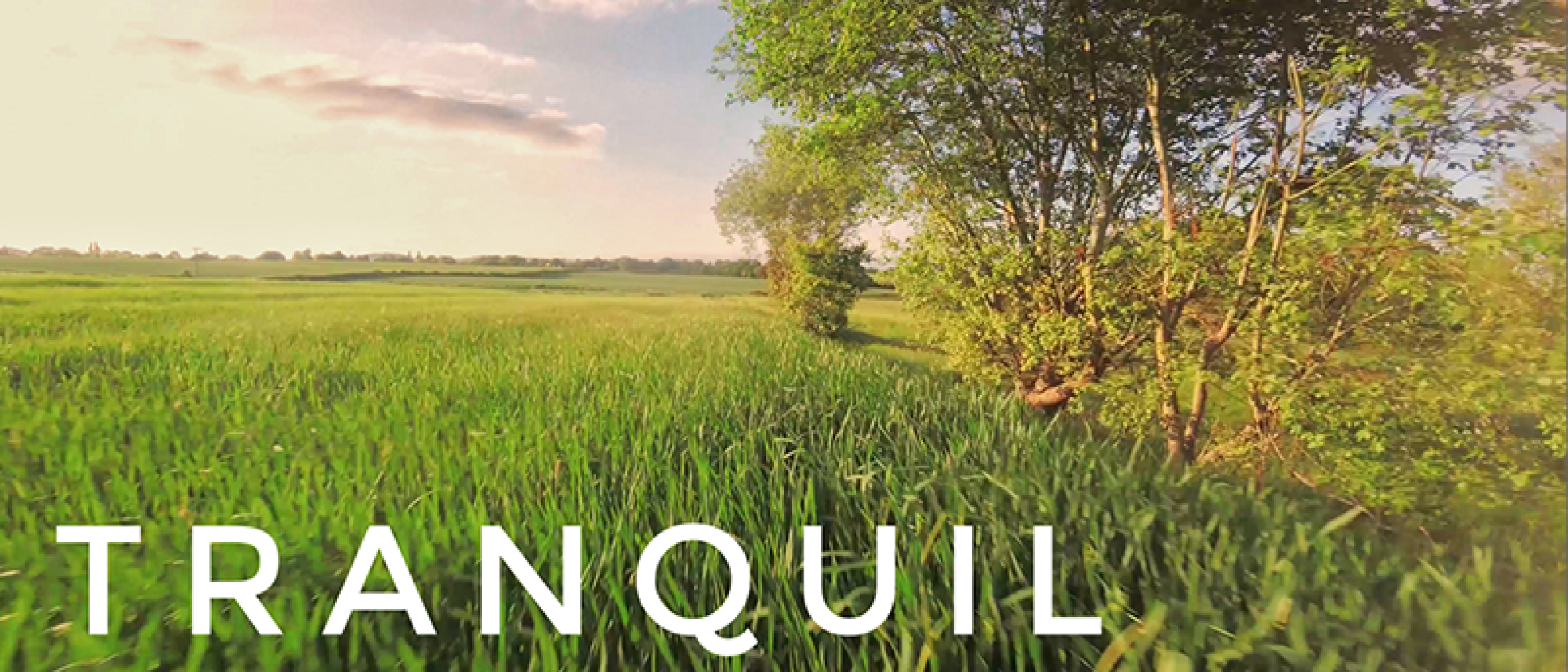 Tranquil // Freestyle Log #015